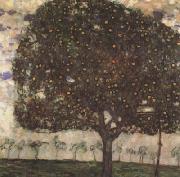 Gustav Klimt Apple Tree II (mk20) oil painting picture wholesale